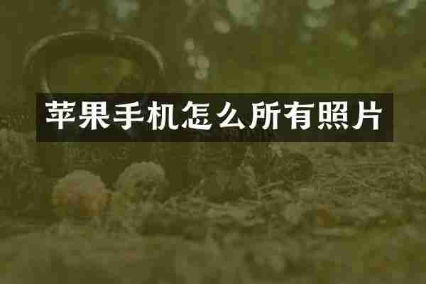 苹果手机怎么所有照片