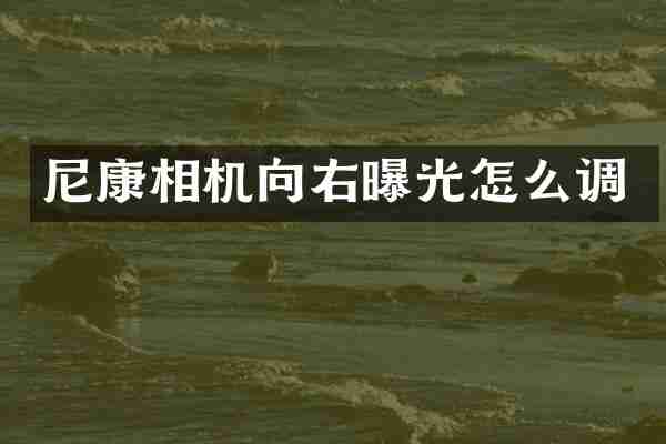 尼康相机向右曝光怎么调