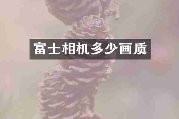 富士相机多少画质