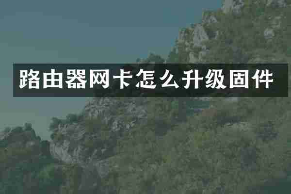 路由器网卡怎么升级固件