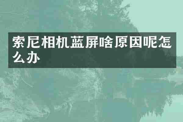 索尼相机蓝屏啥原因呢怎么办