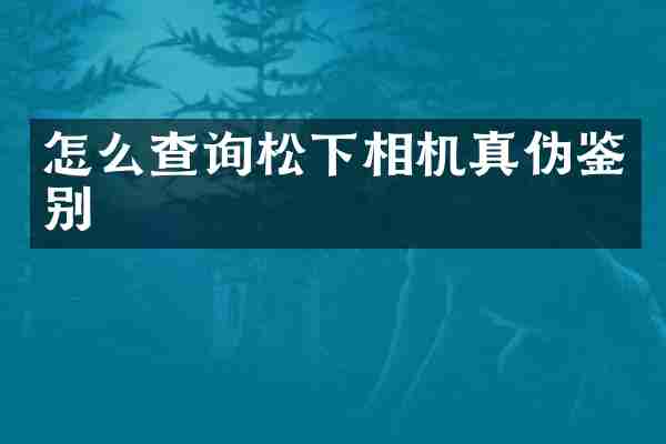怎么查询松下相机真伪鉴别