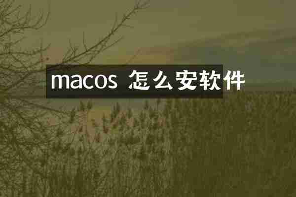 macos 怎么安软件