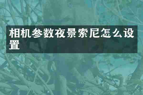 相机参数夜景怎么设置