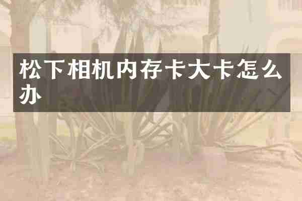 松下相机内存卡大卡怎么办