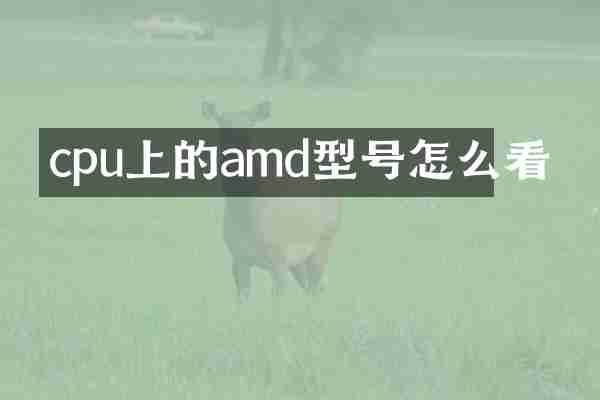 cpu上的amd型号怎么看