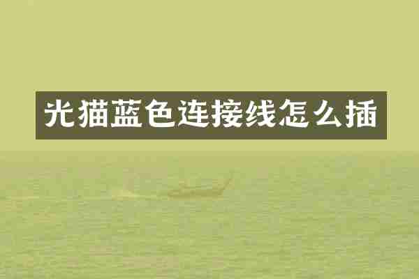 光猫蓝色连接线怎么插