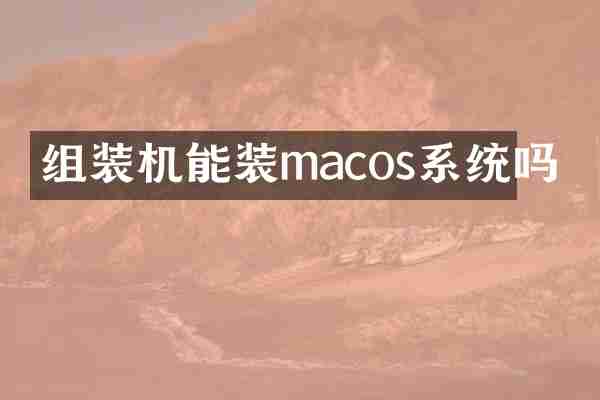 组装机能装macos系统吗