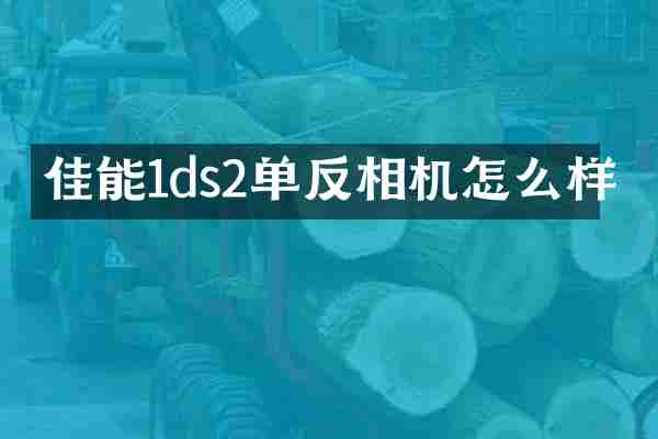 佳能1ds2单反相机怎么样