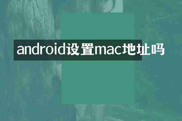 android设置mac地址吗