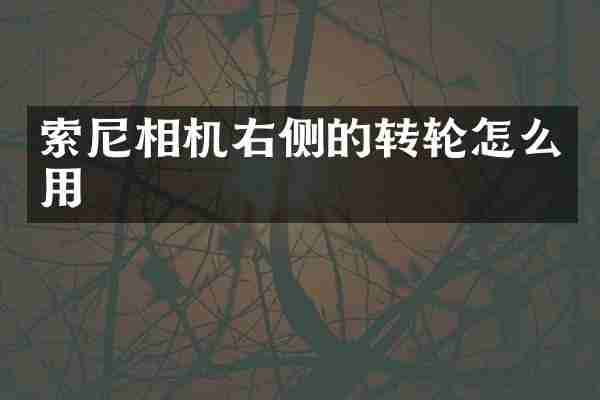 索尼相机右侧的转轮怎么用