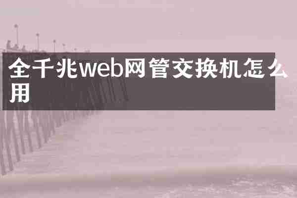 全千兆web网管交换机怎么用