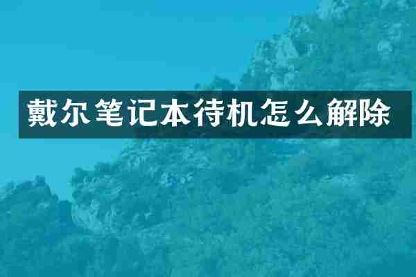 戴尔笔记本待机怎么解除