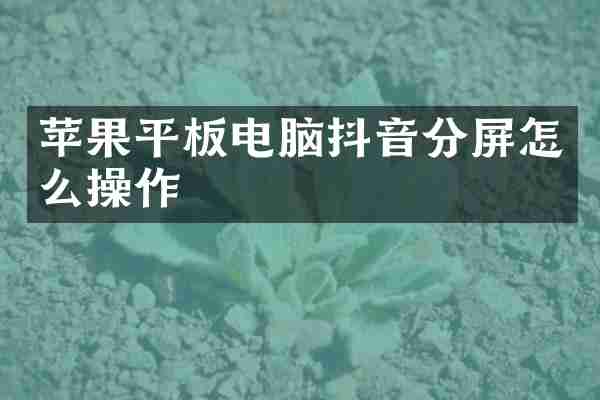 苹果平板电脑抖音分屏怎么操作