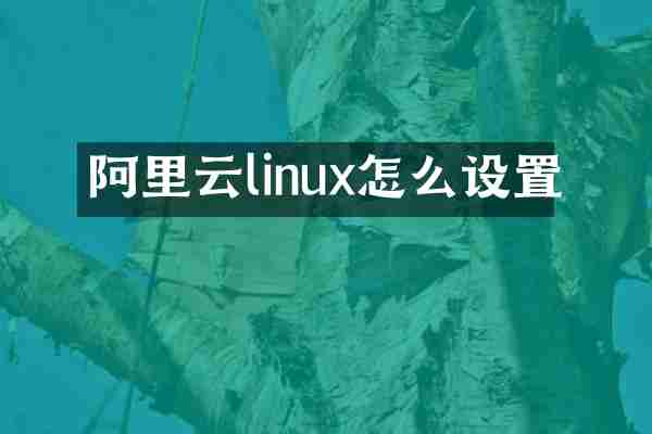 阿里云linux怎么设置
