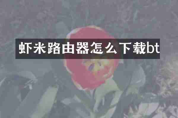 虾米路由器怎么下载bt