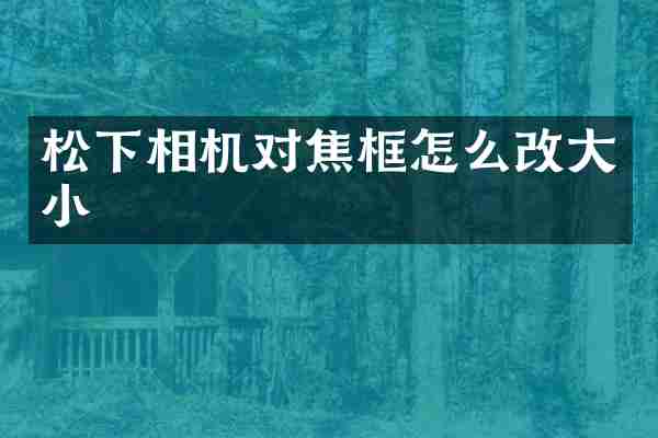 松下相机对焦框怎么改大小