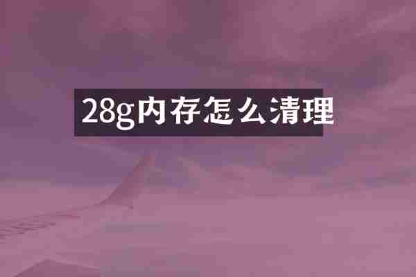28g内存怎么清理