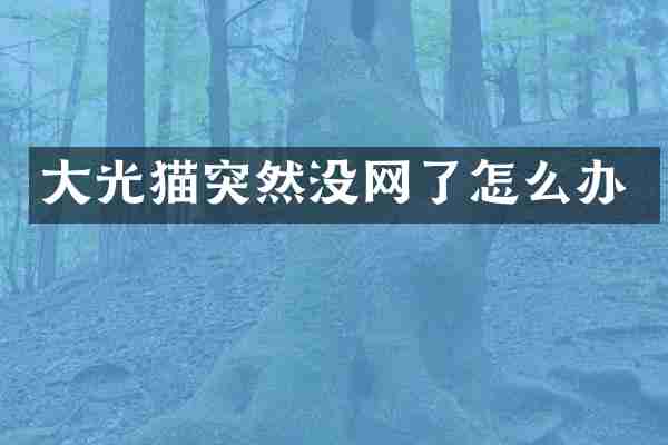 大光猫突然没网了怎么办