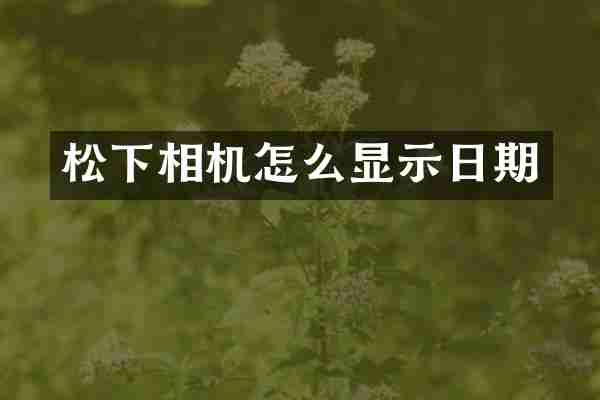 松下相机怎么显示日期