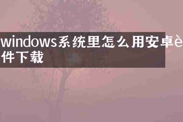 windows系统里怎么用安卓软件下载