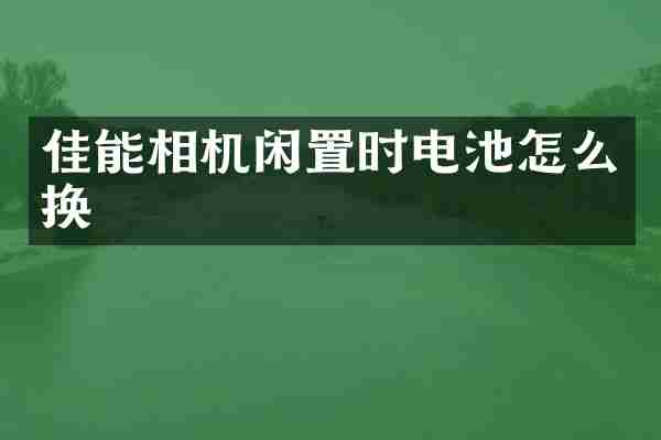 佳能相机闲置时电池怎么换