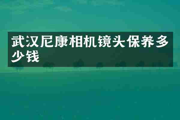 武汉尼康相机镜头保养多少钱