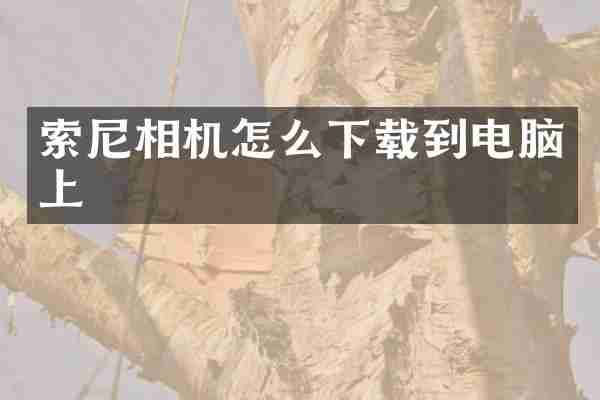 索尼相机怎么下载到电脑上