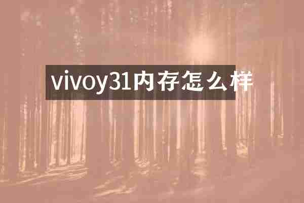 vivoy31内存怎么样
