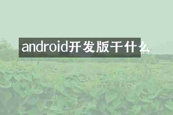 android开发版干什么