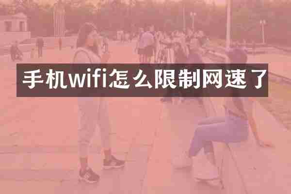 手机wifi怎么限制网速了
