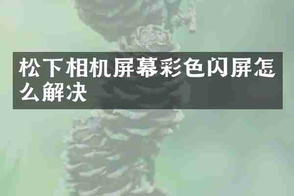 松下相机屏幕彩色闪屏怎么解决
