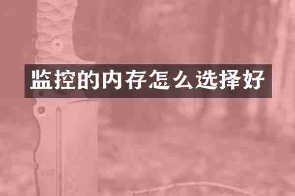 监控的内存怎么选择好