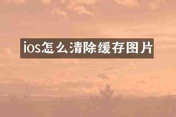 ios怎么清除缓存图片