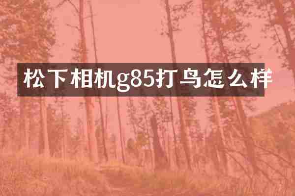 相机g85打鸟怎么样