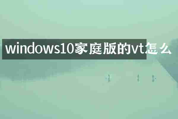 windows10家庭版的vt怎么