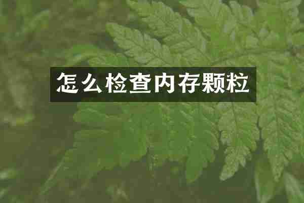 怎么检查内存颗粒