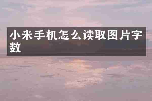 小米手机怎么读取图片字数