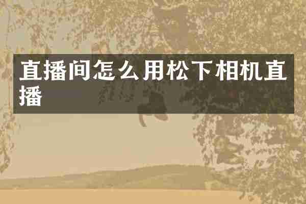 直播间怎么用松下相机直播