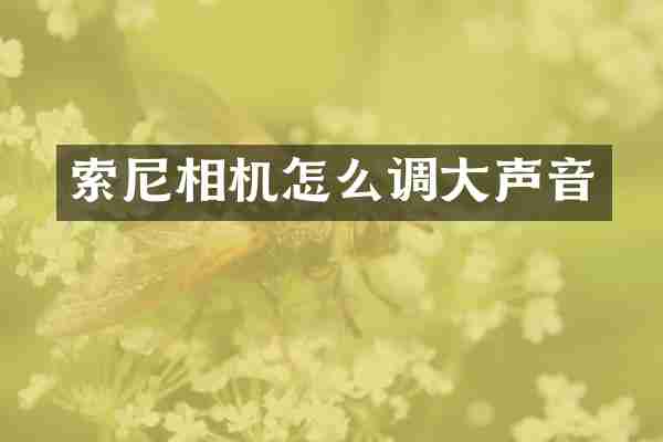 索尼相机怎么调大声音