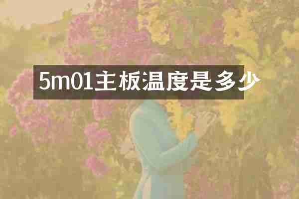 5m01主板温度是多少