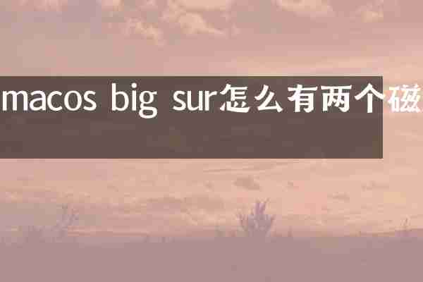 macos big sur怎么有两个磁盘