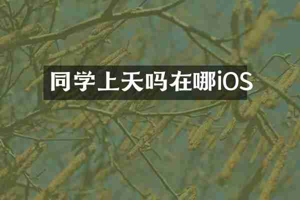 同学上天吗在哪iOS