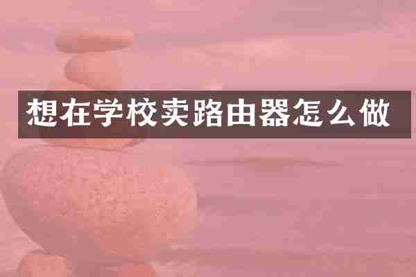 想在学校卖路由器怎么做