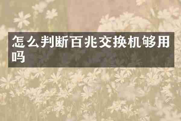怎么判断百兆交换机够用吗