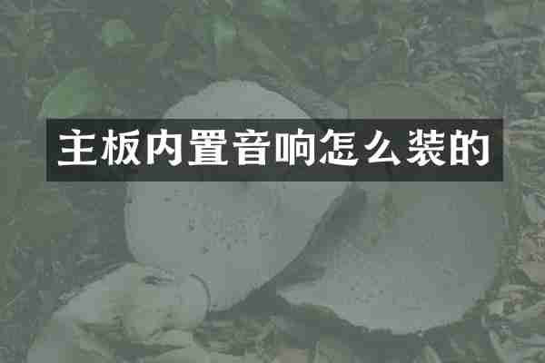 主板内置音响怎么装的