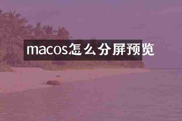 macos怎么分屏预览