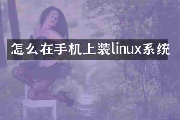 怎么在手机上装linux系统