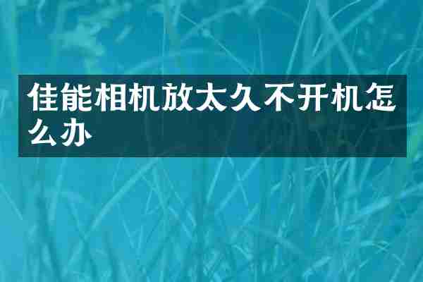 佳能相机放太久不开机怎么办