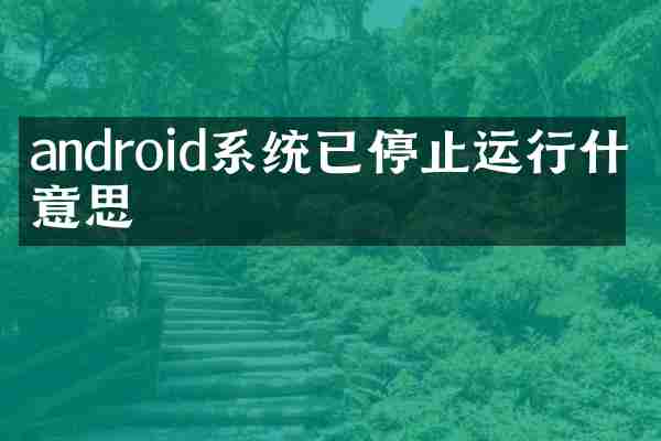 android系统已停止运行什么意思
